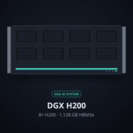NVIDIA DGX H200